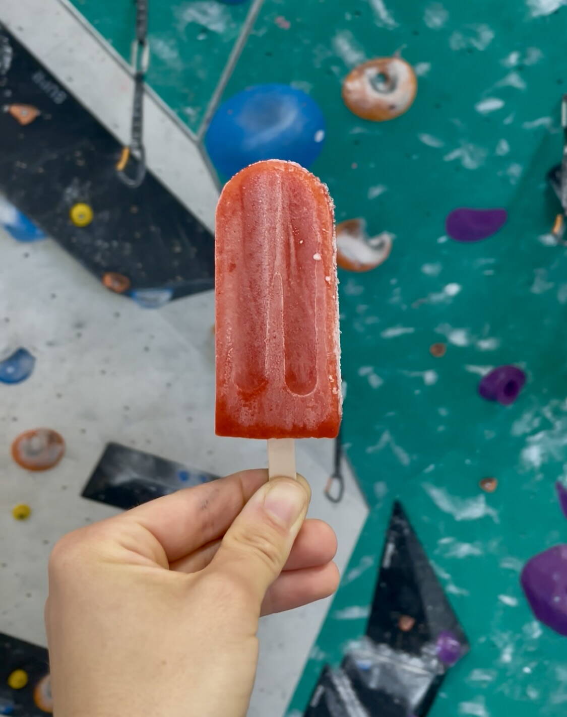 img_5753.jpeg img_5753.jpeg