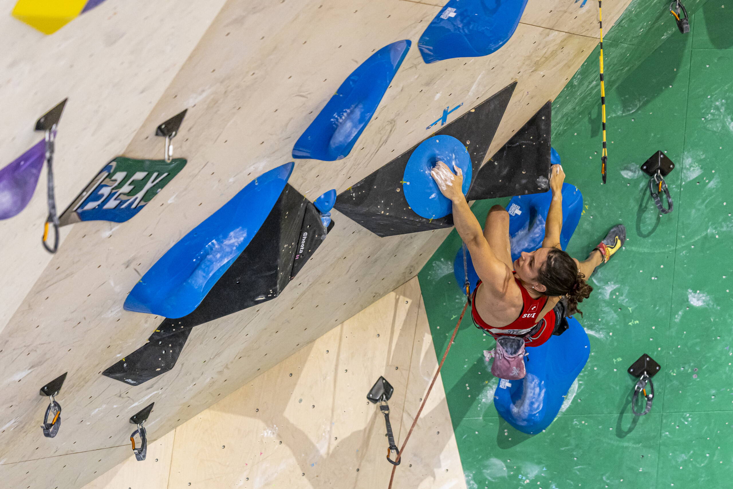 Schweizer Athletin an der Leadwand